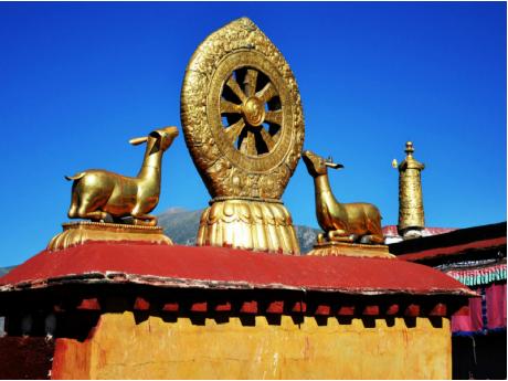 Nyingchi-Ranwu-Namtso-Lhasa 8 Days