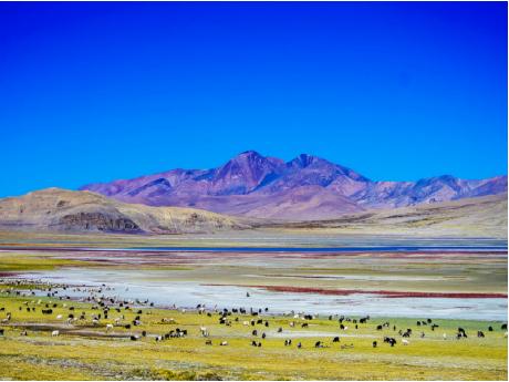 Mt.Kailash 8 Days in Western Tibet