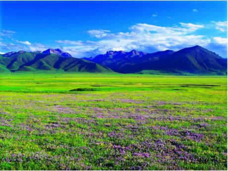 Sichuan-Daocheng-Lhasa 11 Days