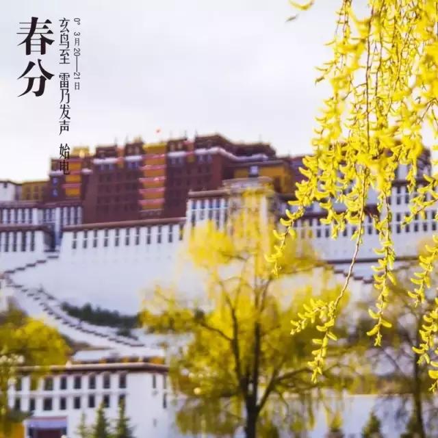 西藏最美24個節氣 春分