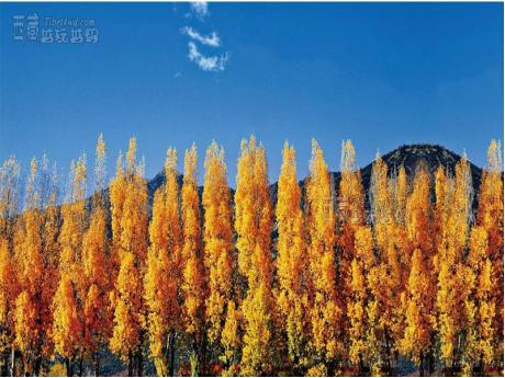 Lhasa-Nyingchi-Lhoka 8 Days