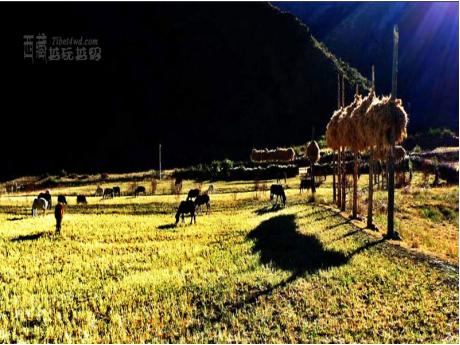 Lhasa-Nyingchi-Ranwu -Namucuo sun rises and falls 9 Days