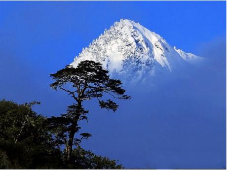 Nyingchi-LuLang-Namjagbarwa -Everest 7 Days