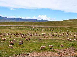 青藏线5日游（西宁到拉萨）
